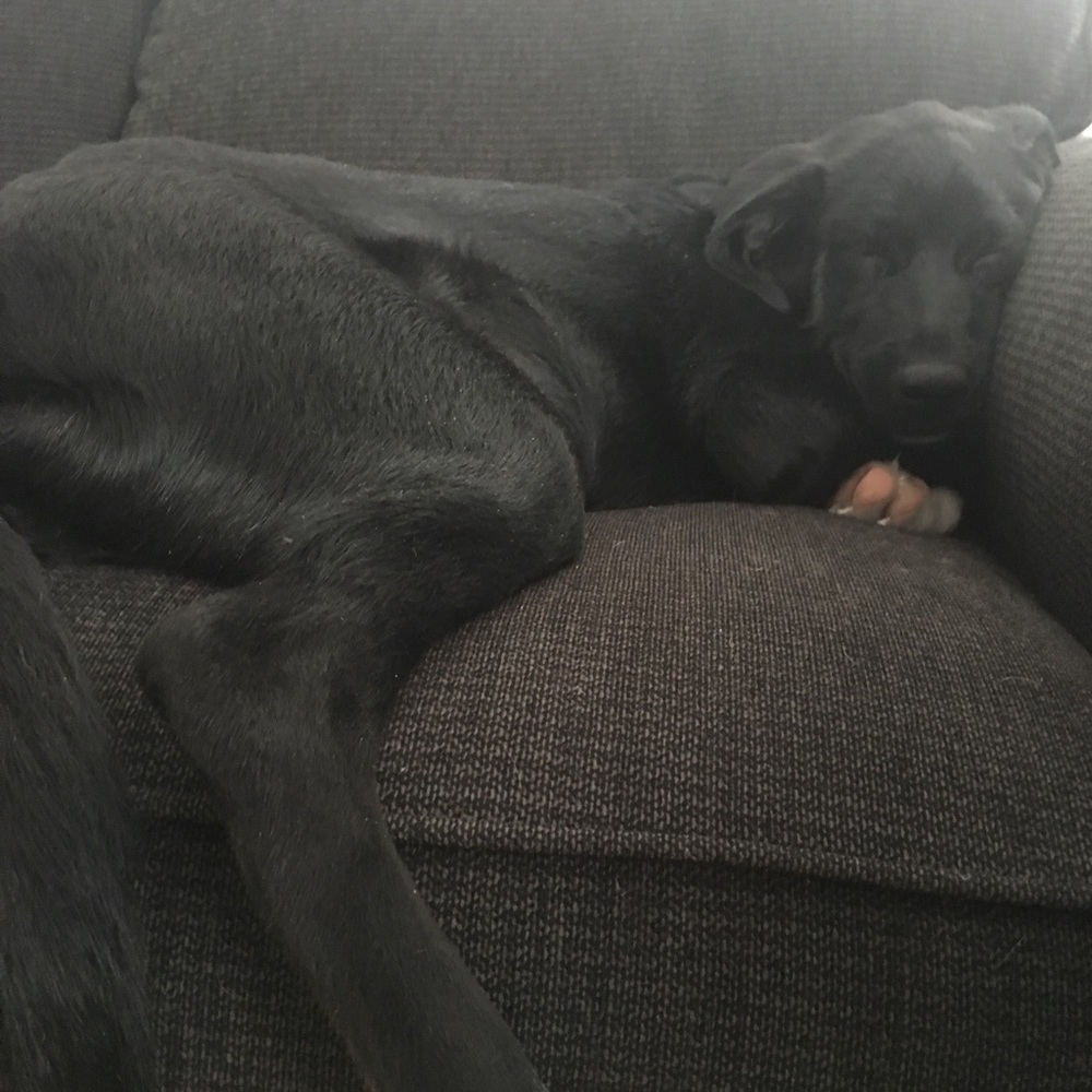 Meet your Posher, Mandy